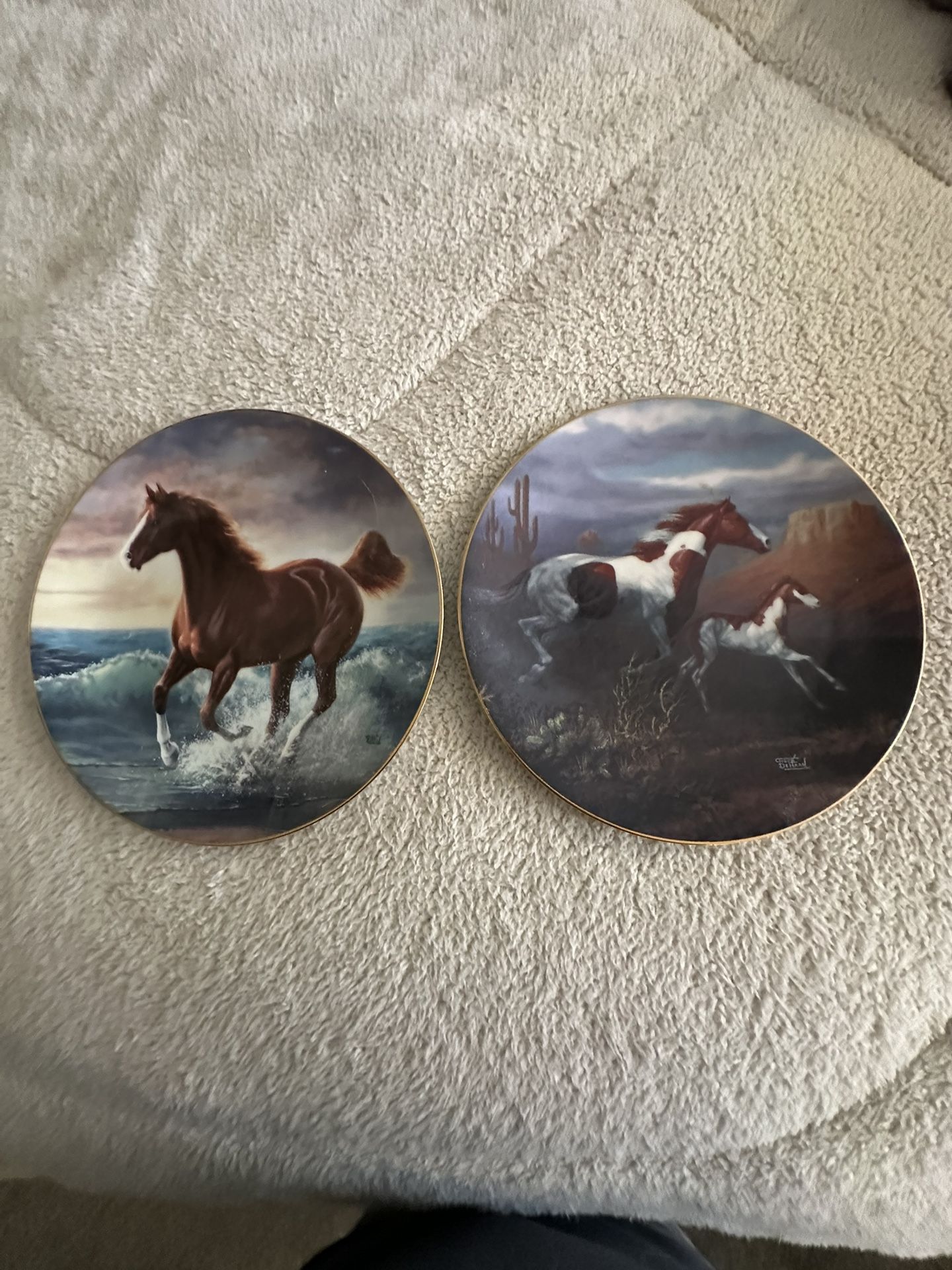 Horse Plates