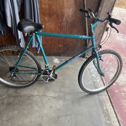 Mt. Shasta Bike