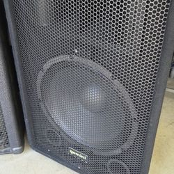 Gemini Speaker