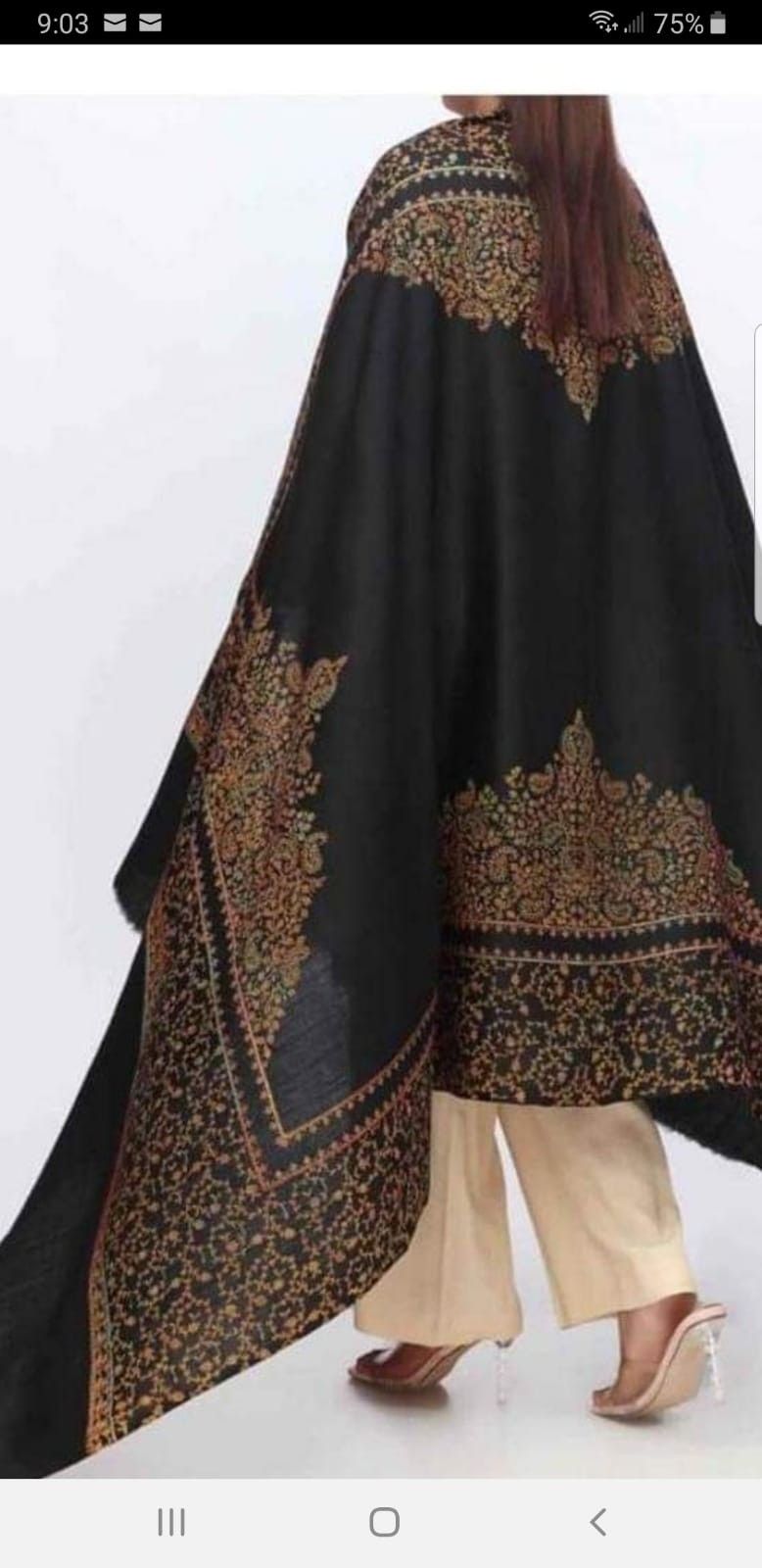Pashmina Shawl