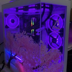 4060 Gaming PC & Monitor (firm)