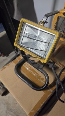 Flood Light