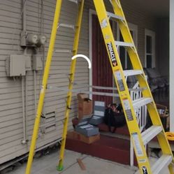 8 Foot Platform Ladder $400 OBO