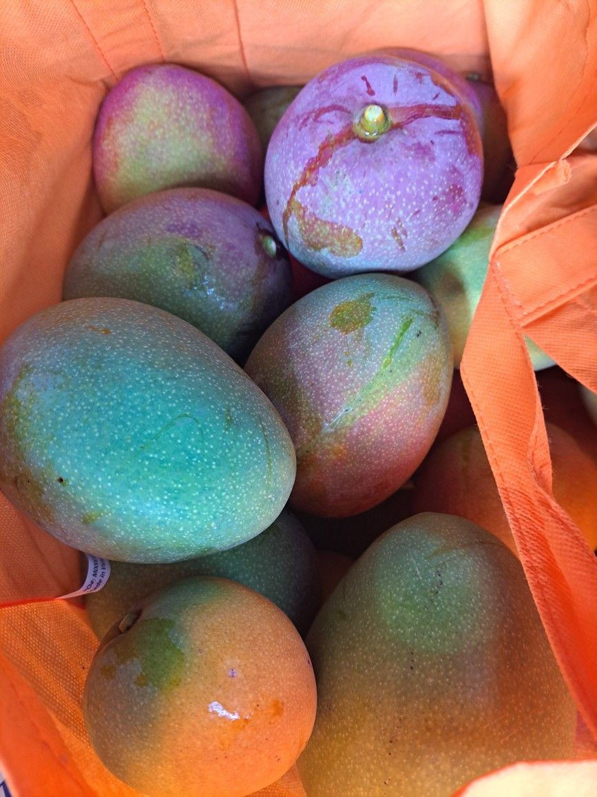 Organic Haden Mango for Sale in Waianae, HI OfferUp