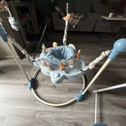 Baby Bouncer 