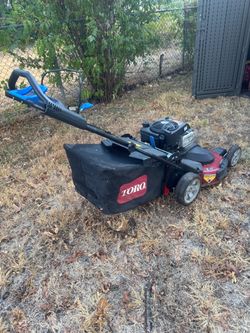 Toro TimeMaster 30” Mower + STIHL FS 91 Trimmer