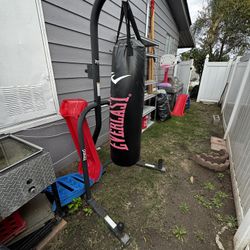 punching bag