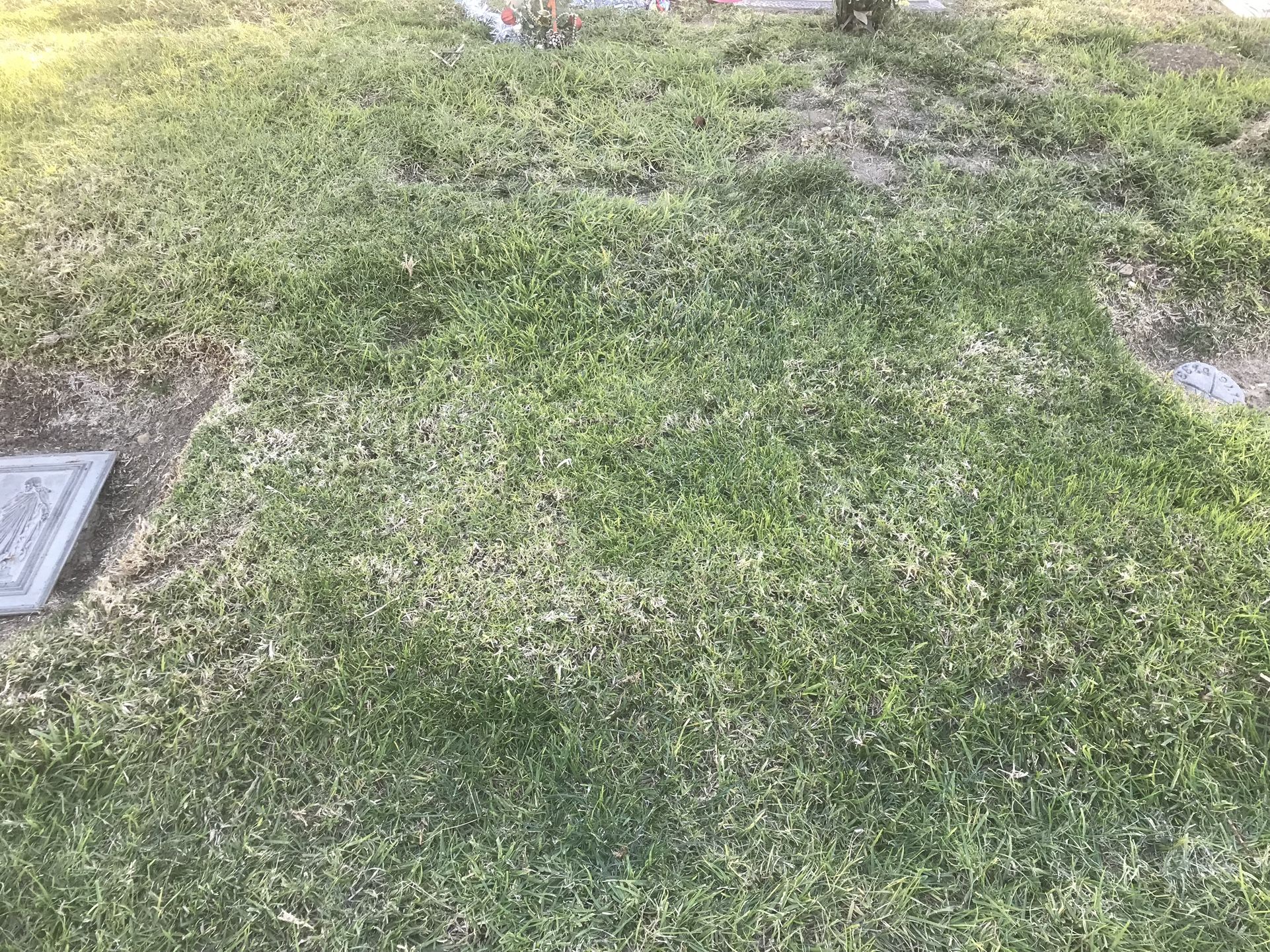 2 Cemetery Plots At Forest Lawn  Covina Hills Ca