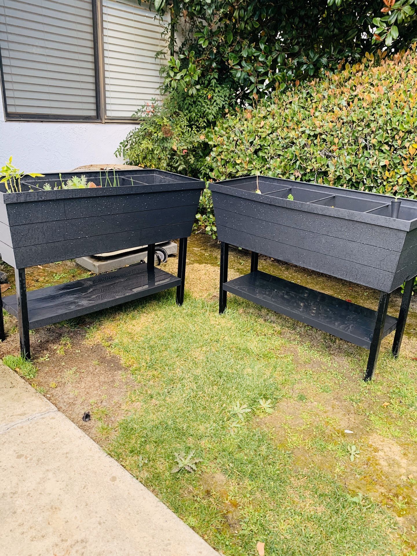 Raised planters (vegetables/soil included)