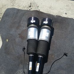 Air Struts Mercedes S500 S450