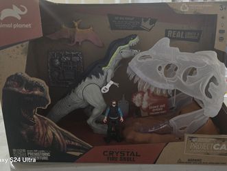 Electronic Cristal Fire Skull