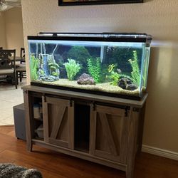 55 Gallon Aquarium 