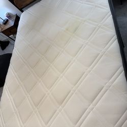 Queen Mattress For Free