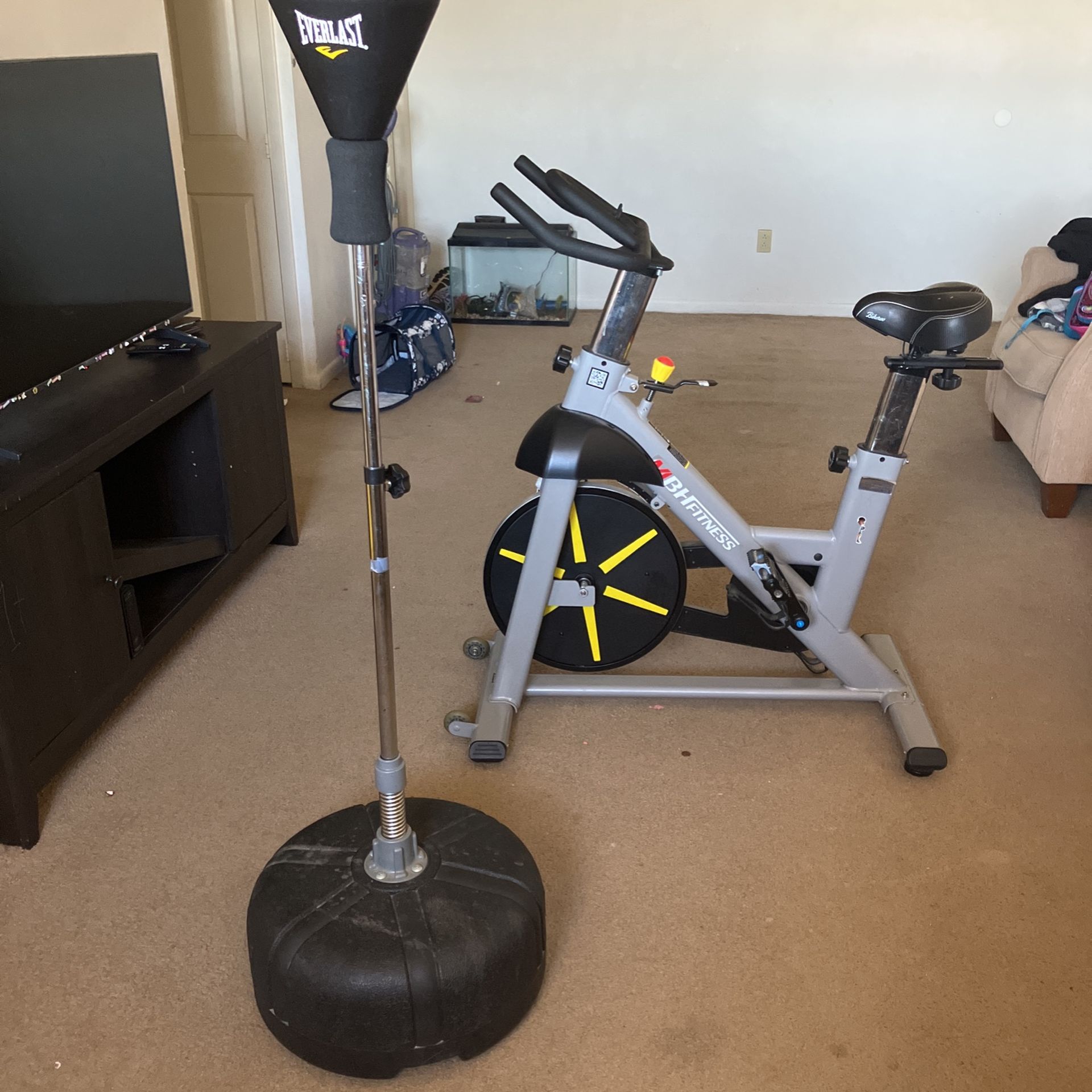 Exercise Bike And Reflex Bag
