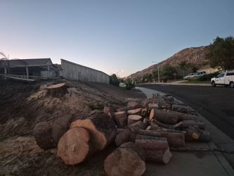 Firewood FREE