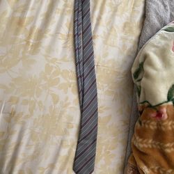 Christian Dior Business Tie