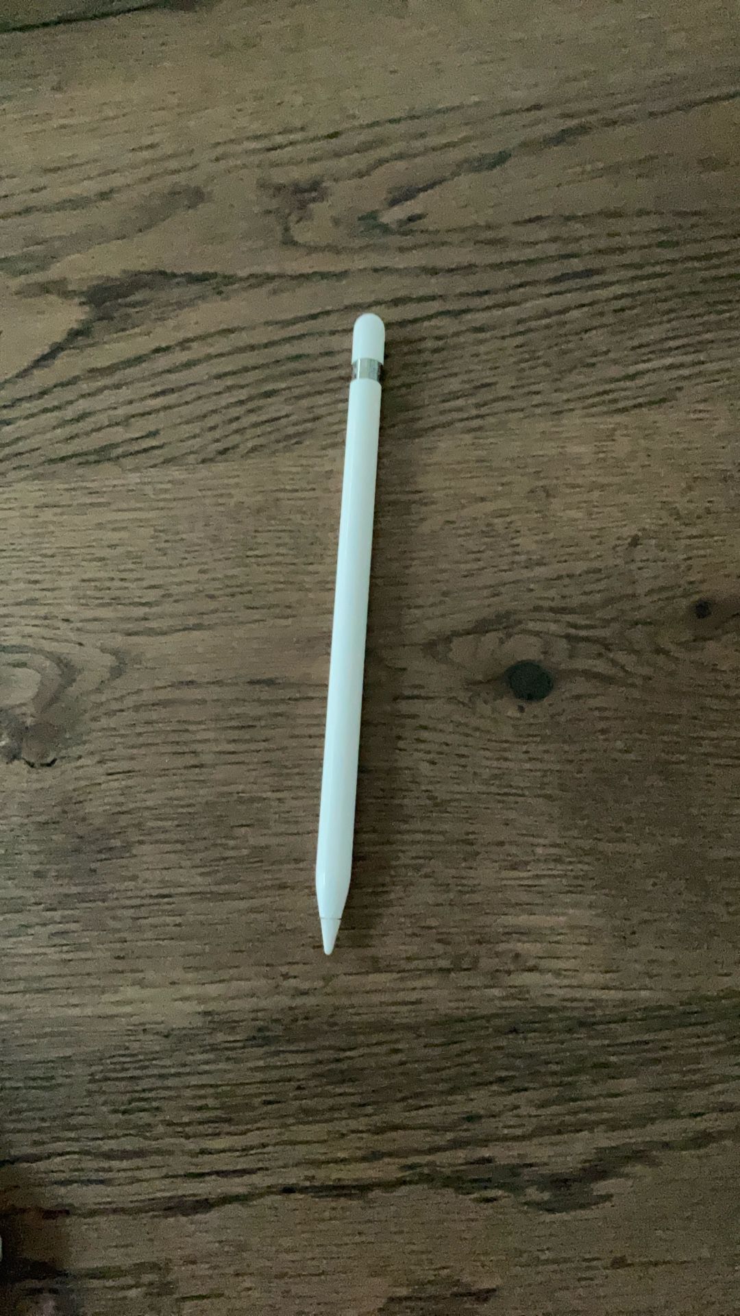 Apple Pencil (1st Generation)