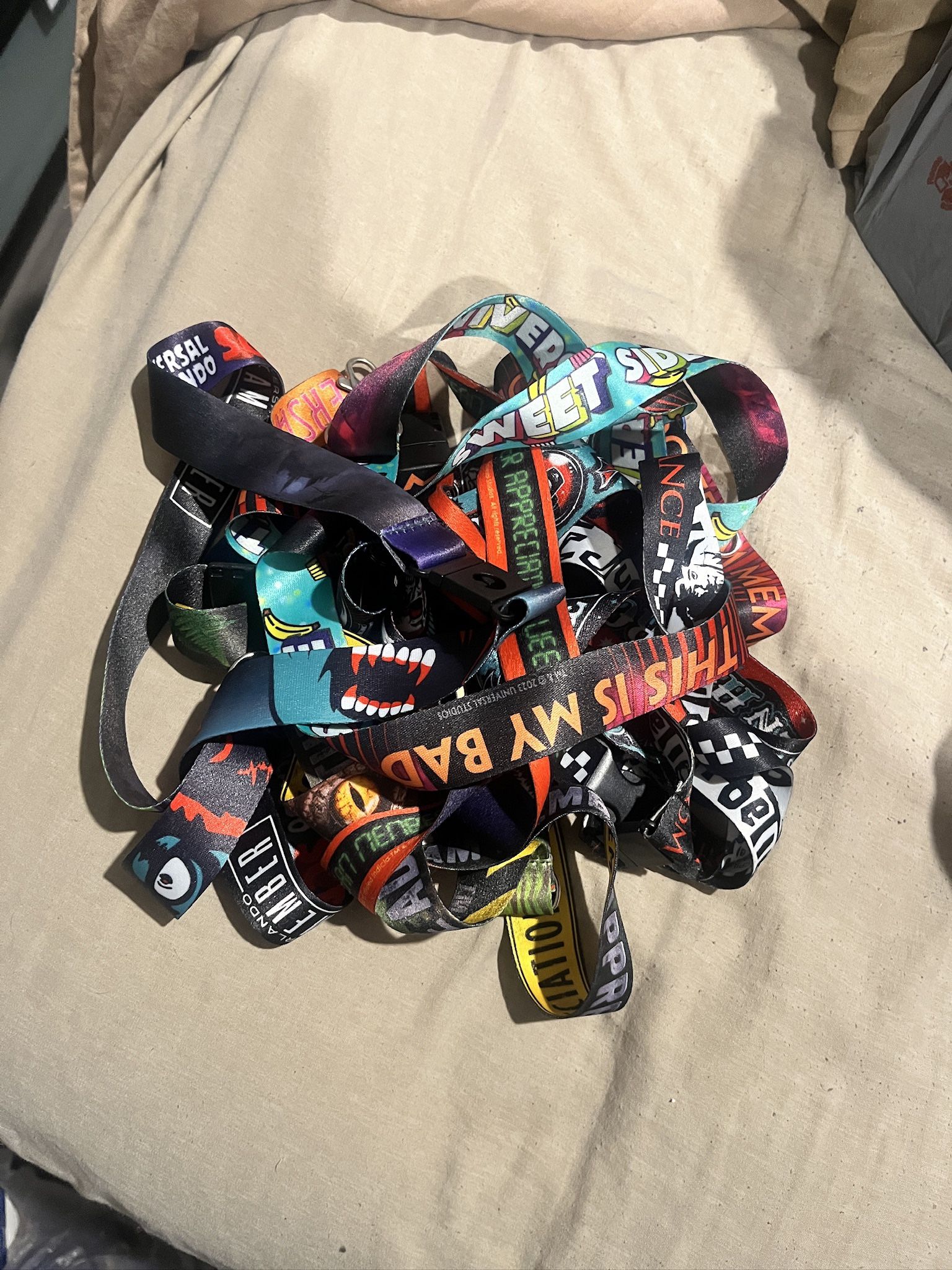 Universal Studios Lanyards