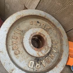 25 Lbs Plates And Olympic Curl Bar 