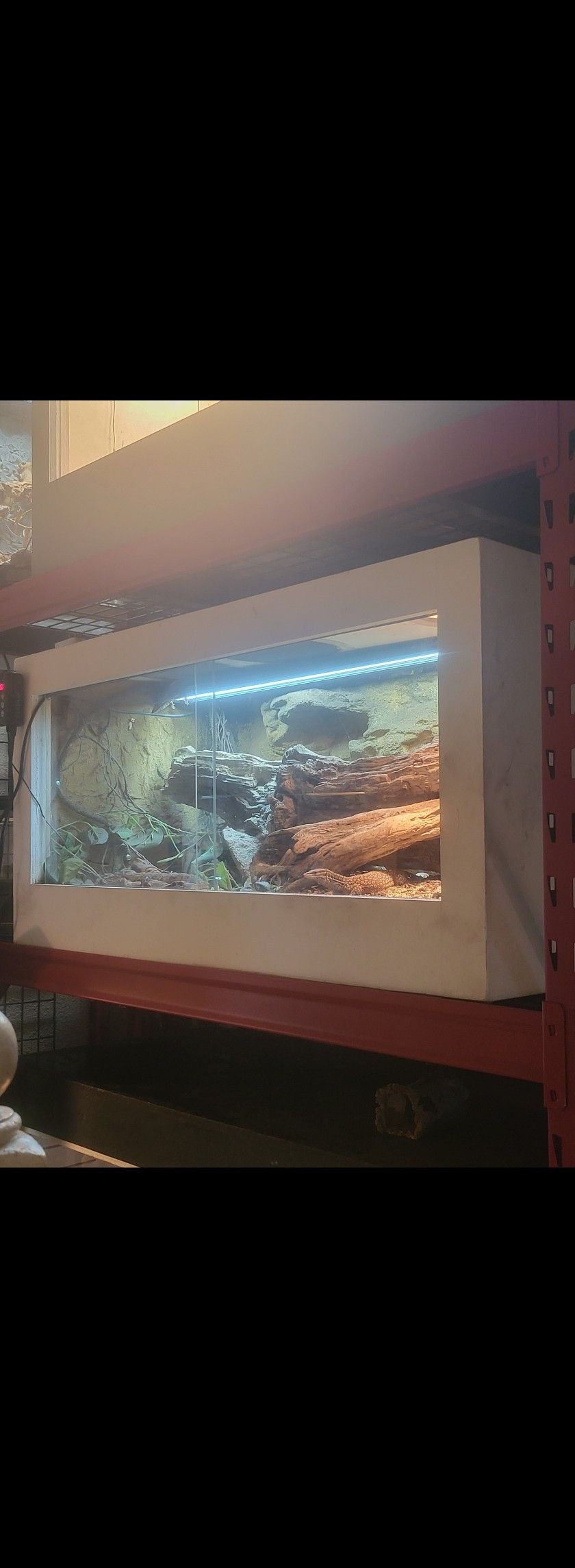 Reptile Cage
