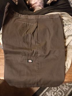 Dickie Shorts