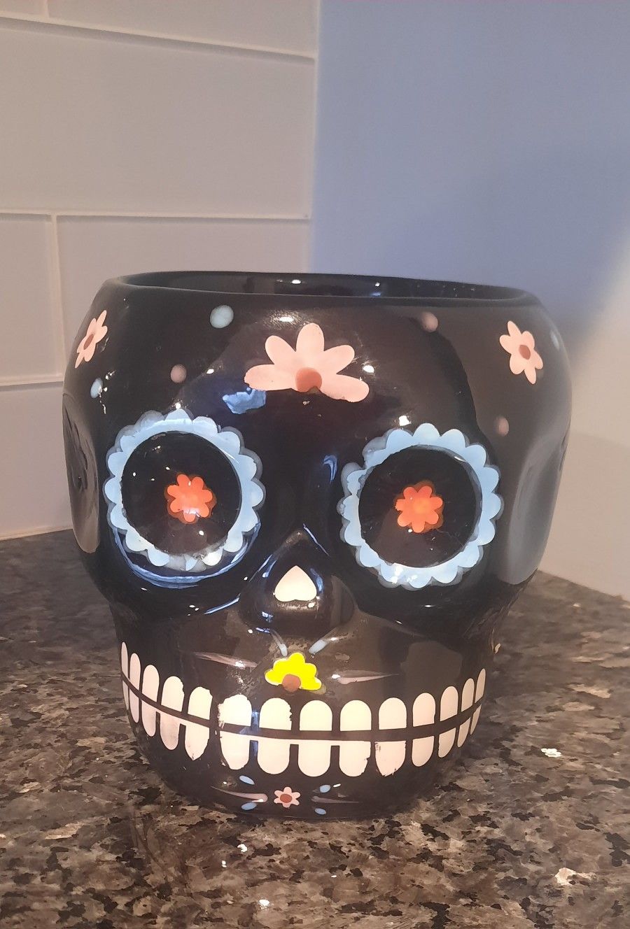 Sugar Skull Day of Dead Ceramic Succulent Planter Black Goth Bowl