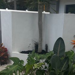 Plants  Installation 