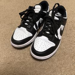 Basically Brand New Dunks - Size 8