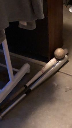 2 Aluminum Bats & Soft Ball