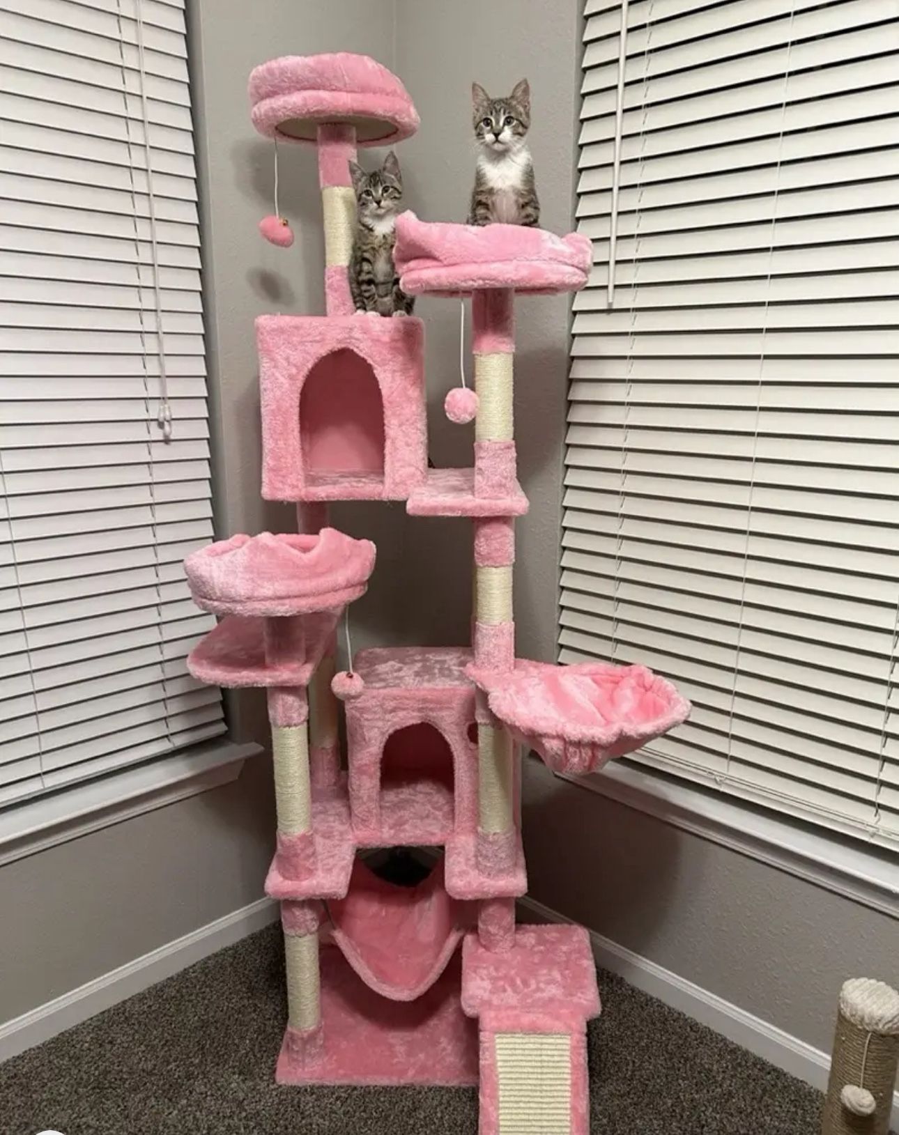 75 inches cat tree and stainless steel litter box 