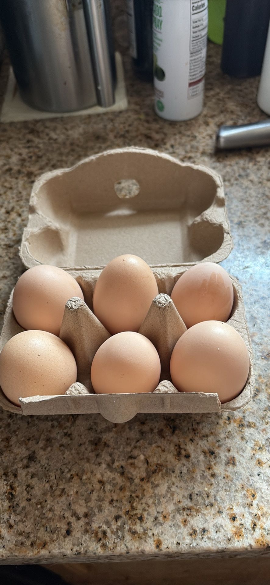 Back Yard Chicken Fresh Egg