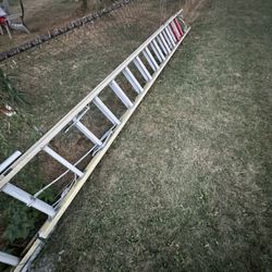 Extension Ladder 