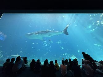 Georgia Aquarium Tickets