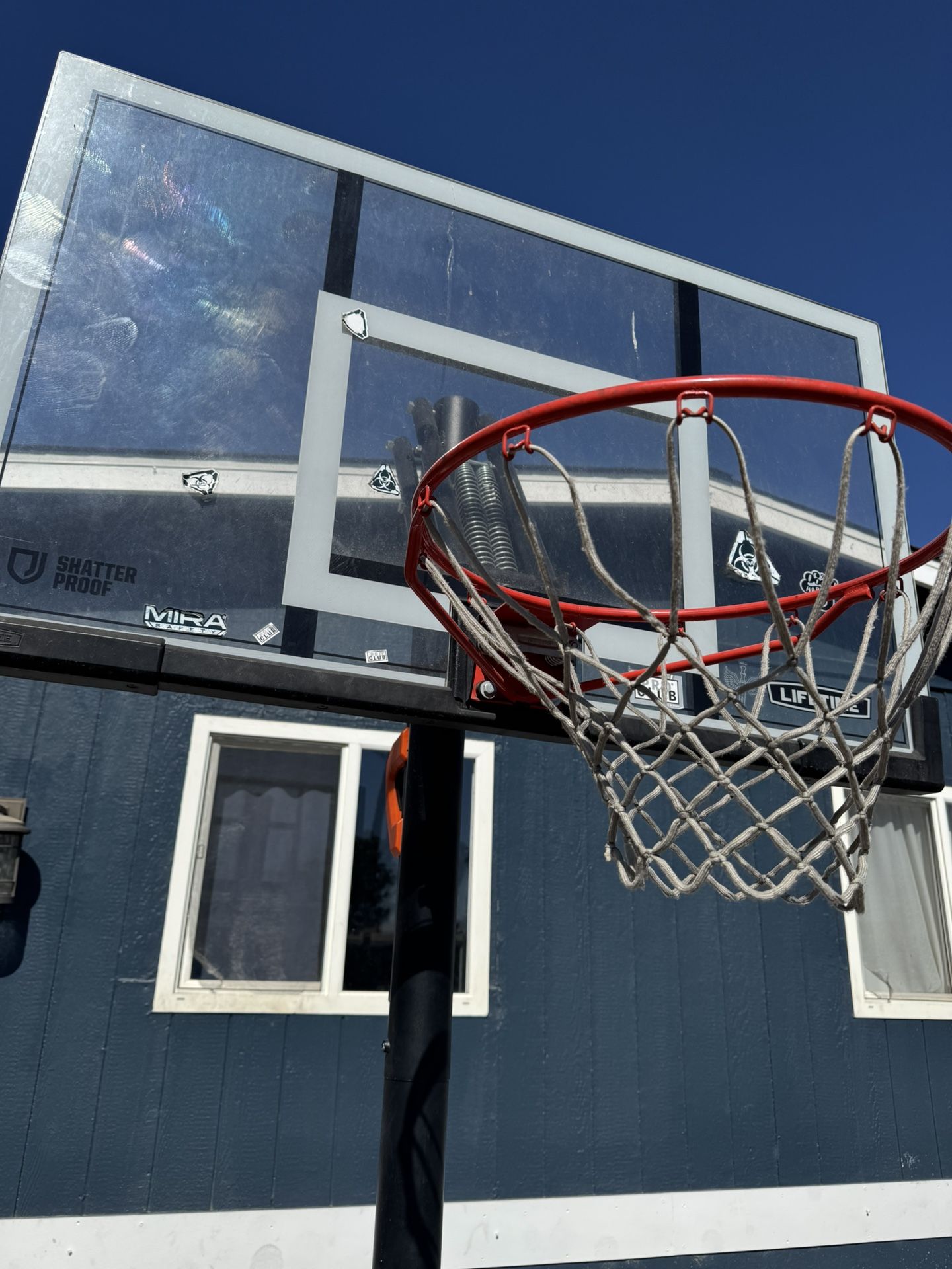 Lifetime Basketball Hoop