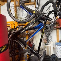 Kestrel Talon, a versatile carbon fiber bike 2000$