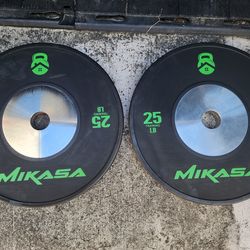 25 Pound Bumper Plate Weights