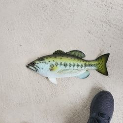 Bass Fish Decor