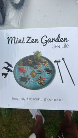 Mini Zen Garden