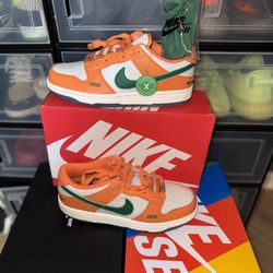 FAMU Nike Dunk low