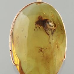 Baltic Amber Necklace