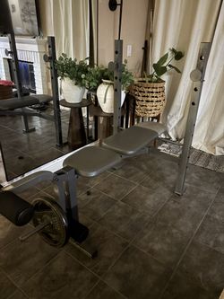Exercise Bench