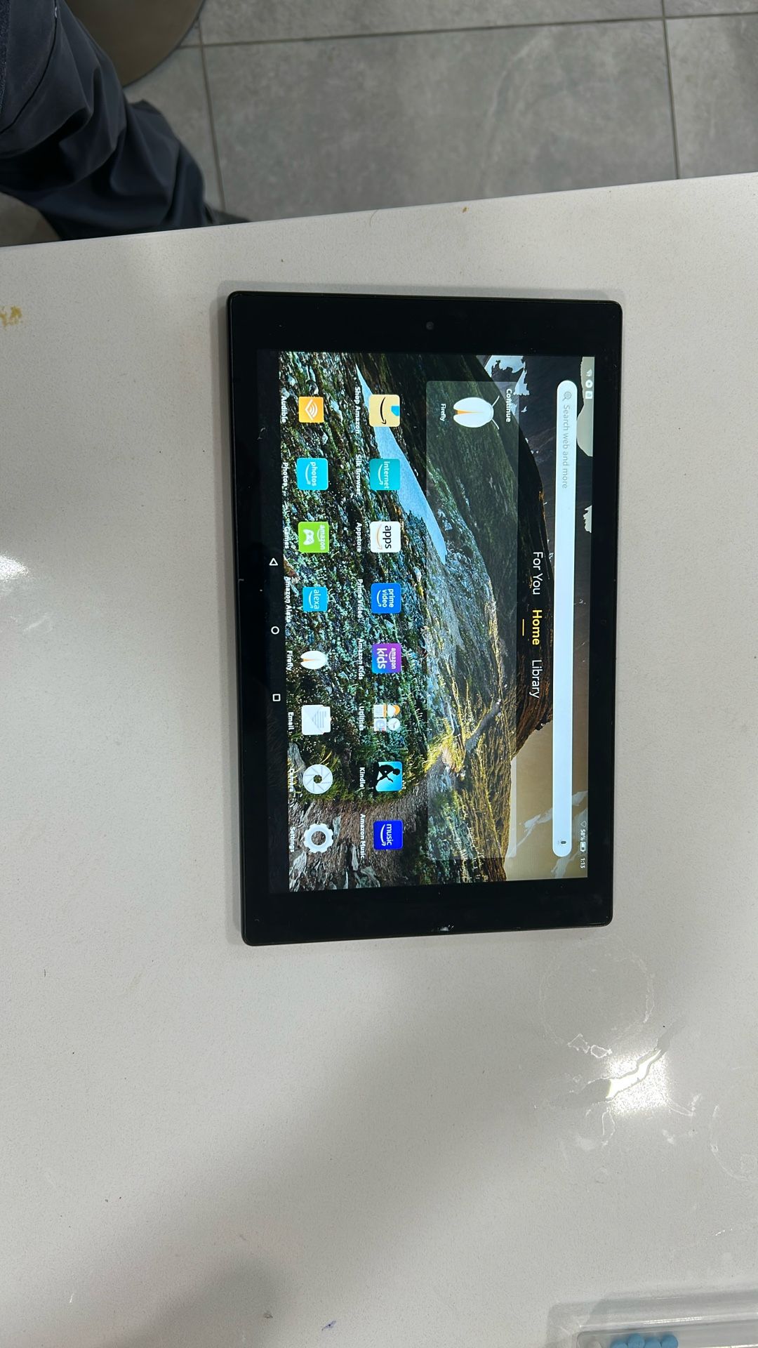Amazon Fire HD 10 Tablet (newest model)