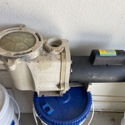 Pool Pump 
