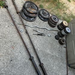 Weights, FreeWeights,Squat Rack