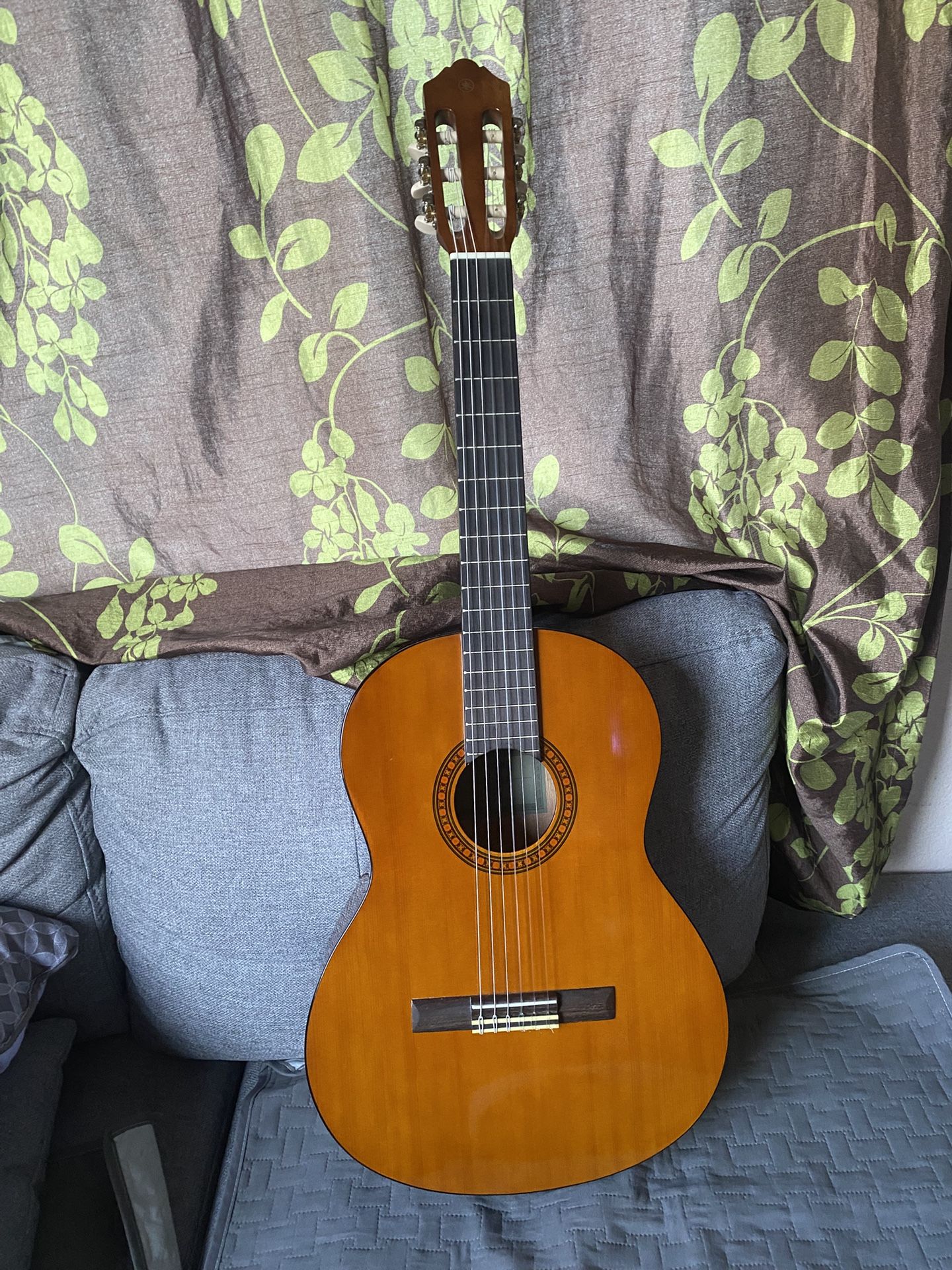 Guitar With Case And Book