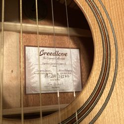 Breedlove Guitar