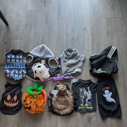 Pets Halloween
