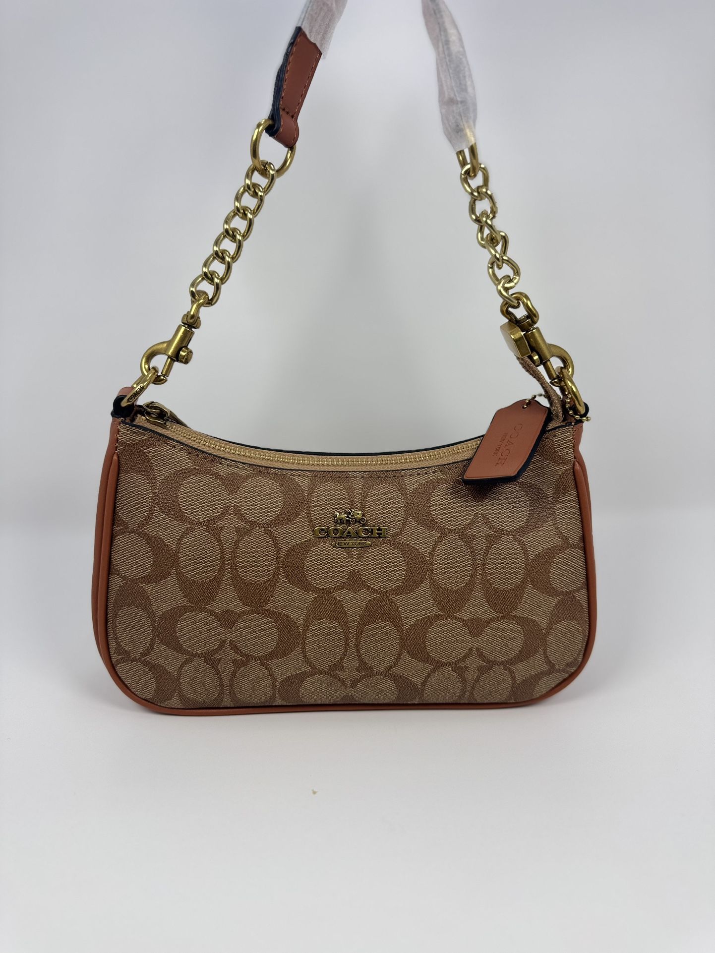 Coach Bag (Brown)