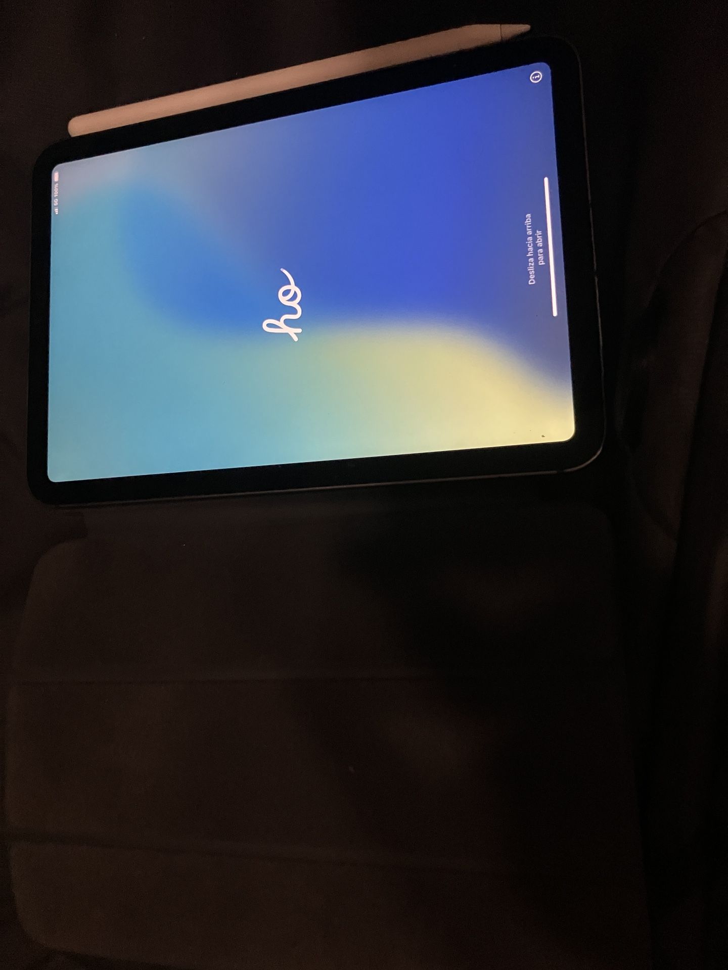 iPad Mini 6 With Cellular Unlocked