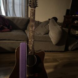 Takamine P1dc 12